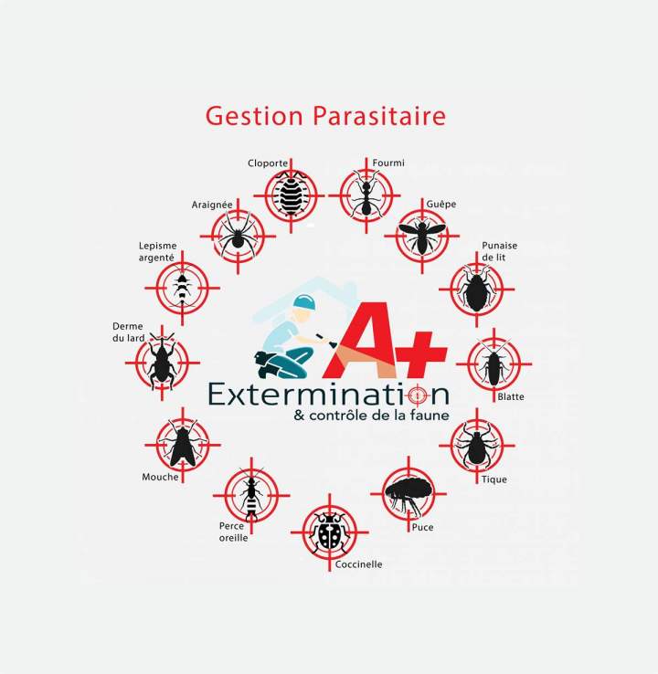 Exterminateur Vaudreuil-Soulanges